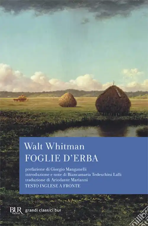 Prezzo Conveniente Foglie d‘erba