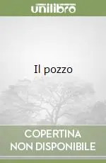 Il pozzo Offerta