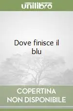 Pagamento Sicuro Dove finisce il blu