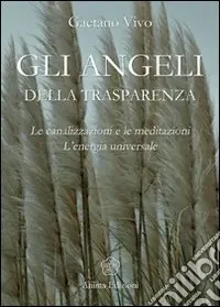 Non Perdere Angeli della trasparenza. Le canalizzazioni e le meditazioni. L‘energia universale