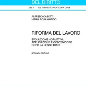 Ultima Occasione Riforma del lavoro. Evoluzione normativa, applicazione e contenzioso dopo la legge Biagi