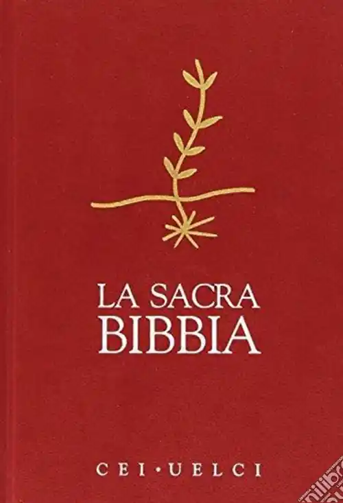 Spedizione Espresso LA SACRA BIBBIA