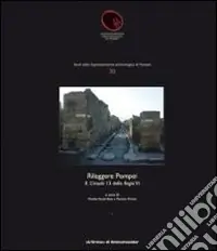 Rileggere Pompei. Vol. 2 L‘insula 13 della Regio VI Nuovo Arrivo