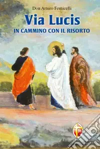 Ultime Pezzi Via lucis. In cammino con il risorto