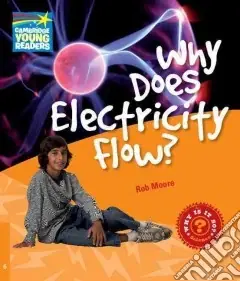 Moore Factbook 6 Why Does Electricity Flow? Offerta