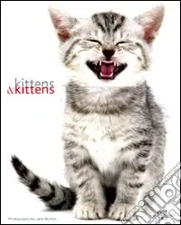 Kittens & kittens. Ediz. illustrata Offerta Speciale