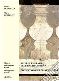 Superfici murarie dell‘edilizia storica. Ediz. italiana e inglese. Vol. 2 Conservazione e manutenzione. Malte e conglomerati a vista. Tinteggiature murali Offerta Lampo
