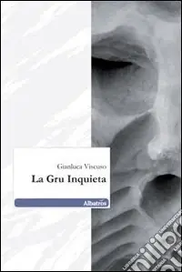 La Gru inquieta Ultimissimo Modello