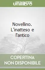Pagamento Sicuro Novellino. L‘inatteso e l‘antico