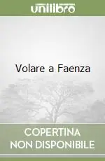 Volare a Faenza Offerta Lampo