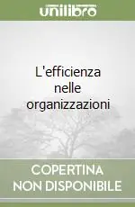 L‘efficienza nelle organizzazioni Acquista Ora