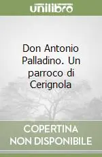 Saldi Don Antonio Palladino. Un parroco di Cerignola