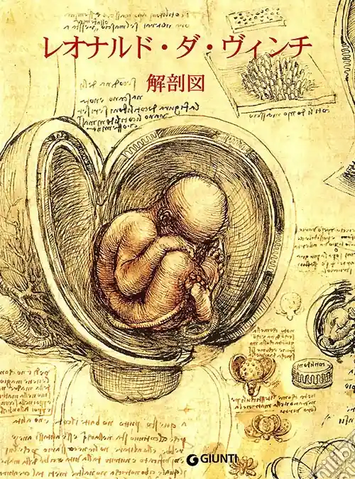 Leonardo. Anatomia. Ediz. giapponese Saldi