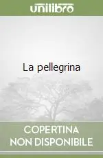 La pellegrina Offerta Lampo