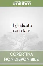 Spedizione Espresso Il giudicato cautelare