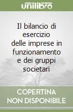 Offerta Lampo Il bilancio di esercizio delle imprese in funzionamento e dei gruppi societari