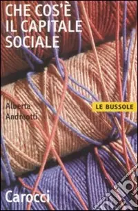 Miglior Prezzo Che cos‘è il capitale sociale