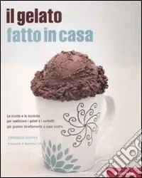 Il Gelato fatto in casa Occasione