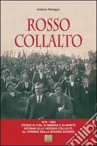 Spedito Oggi Rosso Collalto (1918-1924). Storie di vita, di miseria e di morte intorno alla vicenda Collalto, al termine della grande guerra