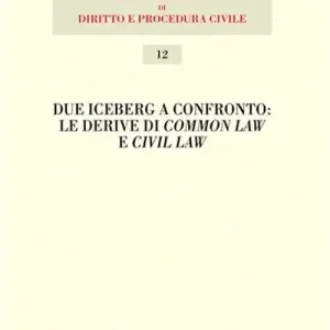 Due iceberg a confronto. Le derive del common law e civil law. Atti del 20° Seminario Occasione Imperdibile