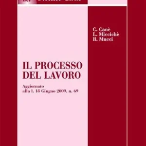 Il processo del lavoro Ordina Subito
