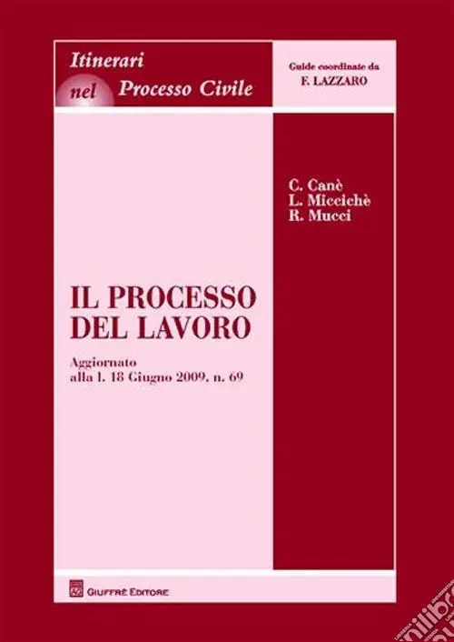 Il processo del lavoro Ordina Subito
