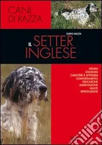 Consegna Rapida Il setter inglese