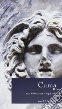 Professionale Cuma. Il Foro. Scavi dell‘Università di Napoli Federico II, 2000-2001. Ediz. illustrata