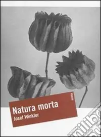 Natura morta Subito Disponibile