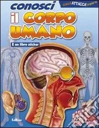 Conosci il corpo umano. Ediz. illustrata Più Venduto