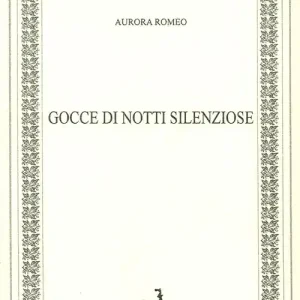 Miglior Prezzo Gocce di notti silenziose