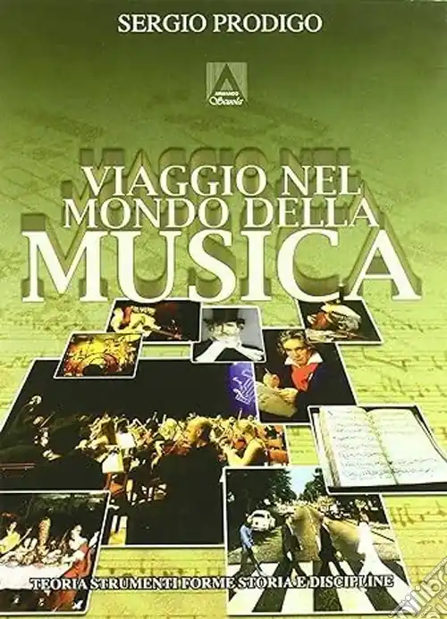 Viaggio nel mondo della musica. Teoria, strumenti, forme, storia e discipline Consegna Rapida