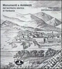 Offerta Limitata Monumenti e ambienti del territorio storico di Verbania