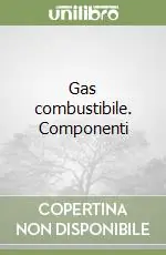 Gas combustibile. Componenti Ultime Pezzi
