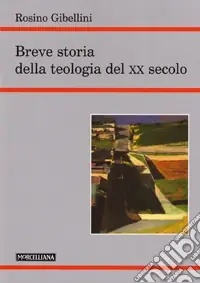 Breve storia della teologia del XX secolo Economico