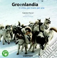 Economico Groenlandia. In slitta, per mare, per aria