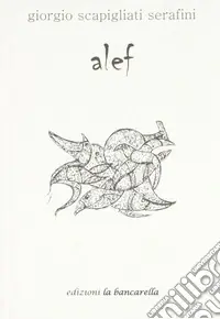 Alef Nuova Collezione