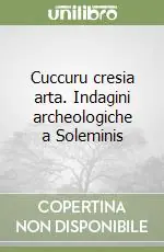 Promozione Esclusiva Cuccuru cresia arta. Indagini archeologiche a Soleminis