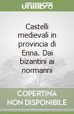 Professionale Castelli medievali in provincia di Enna. Dai bizantini ai normanni