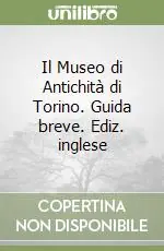Il Museo di Antichità di Torino. Guida breve. Ediz. inglese Offerta Del Giorno
