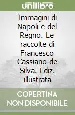 Nuova Collezione Immagini di Napoli e del Regno. Le raccolte di Francesco Cassiano de Silva. Ediz. illustrata
