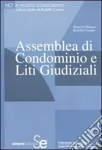 Ordina Subito Assemblea di condominio e liti giudiziali