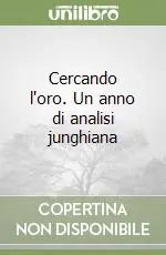 Cercando l‘oro. Un anno di analisi junghiana Non Perdere