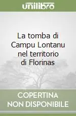 La tomba di Campu Lontanu nel territorio di Florinas Professionale