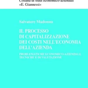 Saldi Il processo di capitalizzazione dei costi nell‘economia dell‘azienda. Problematiche economico-aziendali, tecniche e di valutazione