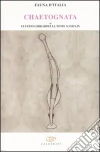 Nuovo Arrivo Chaetognatha