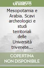 Mesopotamia e Arabia. Scavi archeologici e studi territoriali delle Università trivenete (1994-1998) Consegna Rapida
