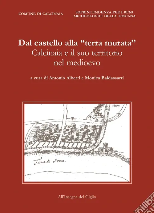 Dal castello alla «terra murata». Calcinaia e il suo territorio nel Medioevo Compra Oggi Stesso