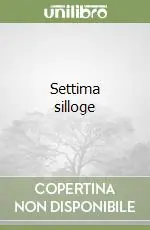Affare Settima silloge