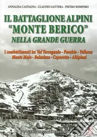 Il battaglione alpini «Monte Berico» nella grande guerra. I combattimenti in val Terragnolo, Pasubio, Vallarsa, monte Majo, Bainsizza, Caporetto, altipiani Offerta Speciale